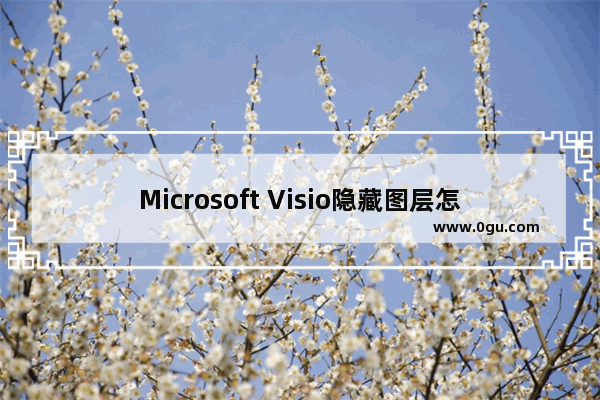 Microsoft Visio隐藏图层怎么操作？Microsoft Visio隐藏图层具体教程