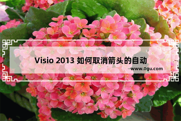 Visio 2013 如何取消箭头的自动连接功能