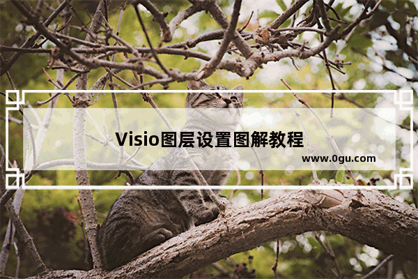 Visio图层设置图解教程