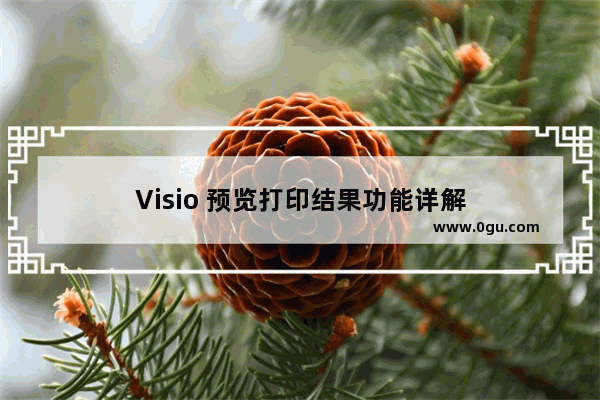 Visio 预览打印结果功能详解