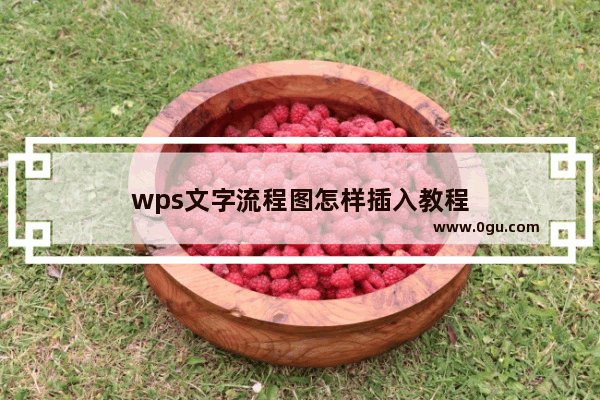 wps文字流程图怎样插入教程