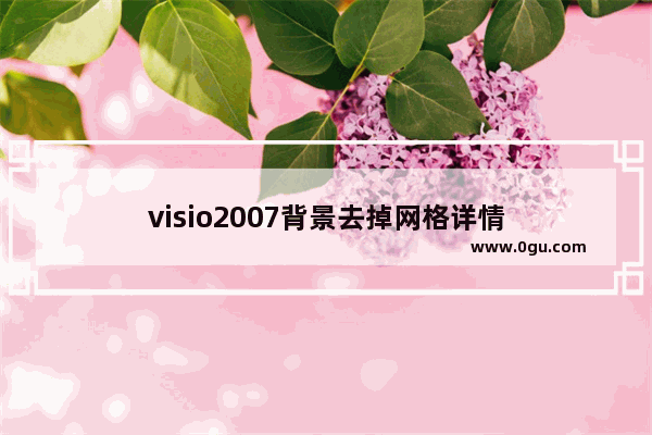 visio2007背景去掉网格详情