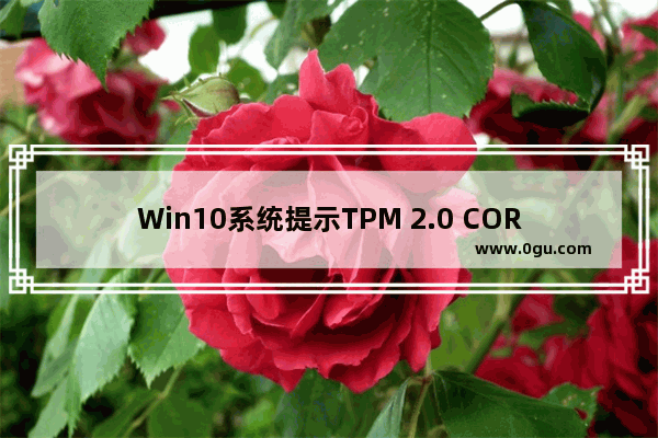 Win10系统提示TPM 2.0 CORE PROVISIONING TEST怎么解决