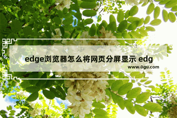 edge浏览器怎么将网页分屏显示 edge浏览器进行分屏显示的方法