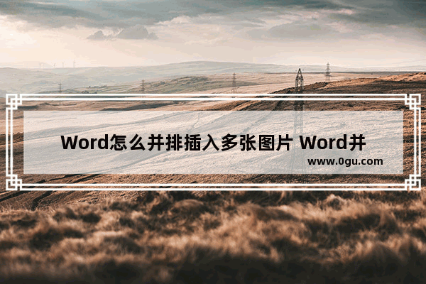 Word怎么并排插入多张图片 Word并排插入多张图片的方法