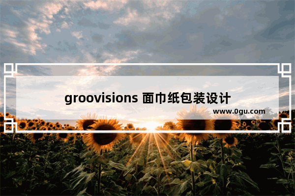 groovisions 面巾纸包装设计