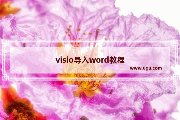 visio导入word教程