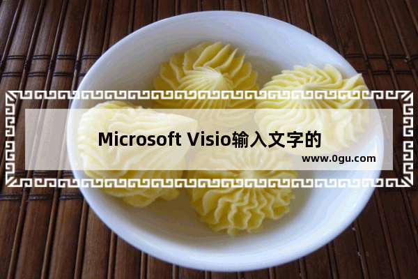 Microsoft Visio输入文字的方法