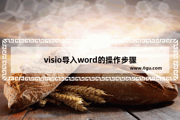 visio导入word的操作步骤