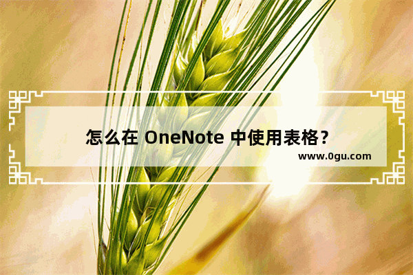 怎么在 OneNote 中使用表格？