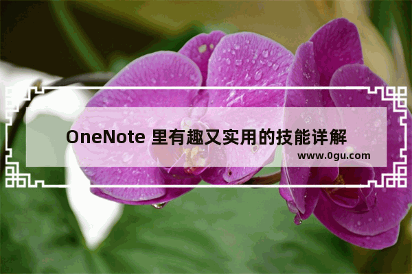 OneNote 里有趣又实用的技能详解