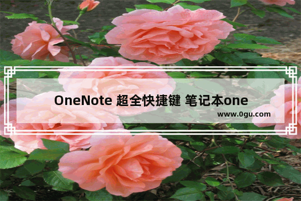 OneNote 超全快捷键 笔记本onenote绘画快捷键