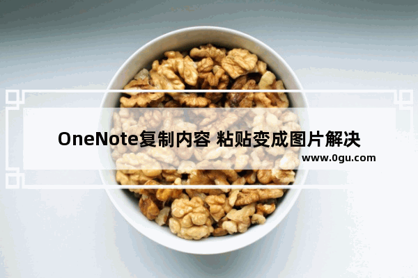 OneNote复制内容 粘贴变成图片解决方案