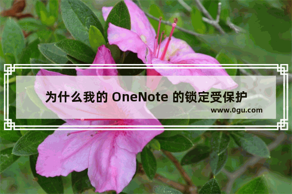 为什么我的 OneNote 的锁定受保护的分区功能是灰的？