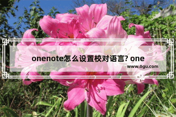 onenote怎么设置校对语言? onenote校对语言的添加方法