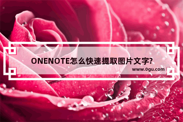 ONENOTE怎么快速提取图片文字?