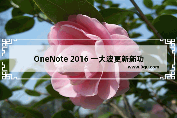 OneNote 2016 一大波更新新功能即将到来