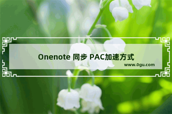 Onenote 同步 PAC加速方式