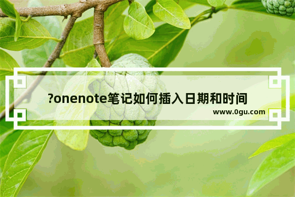 ?onenote笔记如何插入日期和时间