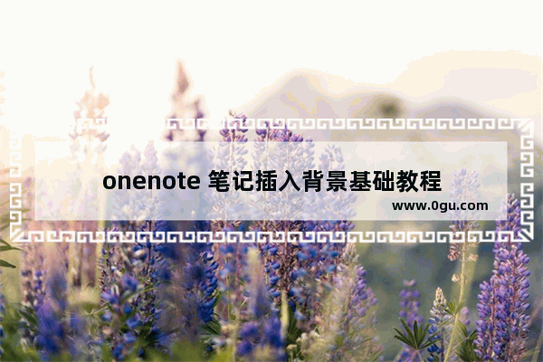 onenote 笔记插入背景基础教程