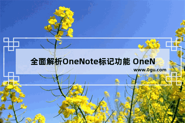 全面解析OneNote标记功能 OneNote标记真的可以替代印象笔记的标签吗？