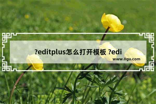 ?editplus怎么打开模板 ?editplus添加代码文件模板的方法