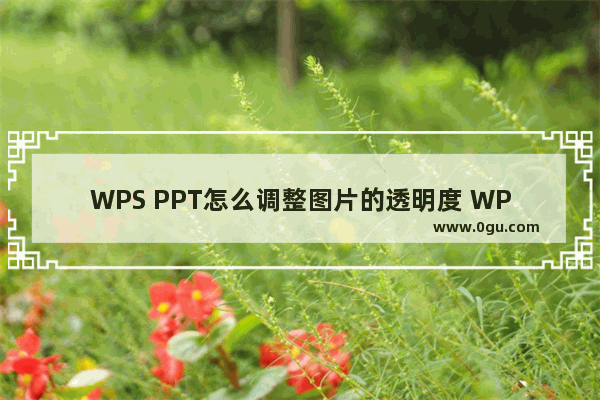 WPS PPT怎么调整图片的透明度 WPS PPT设置图片透明度的方法