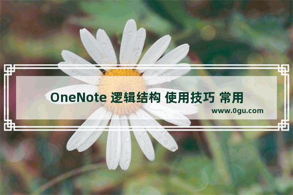 OneNote 逻辑结构 使用技巧 常用插件 不可不用的学习神器