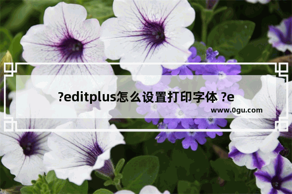 ?editplus怎么设置打印字体 ?editplus设置打印字体的方法