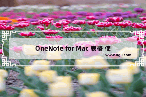 OneNote for Mac 表格 使用技巧