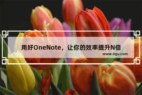 用好OneNote，让你的效率提升N倍