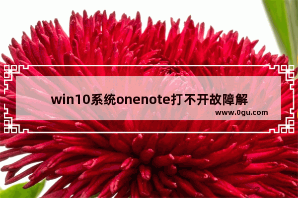 win10系统onenote打不开故障解决