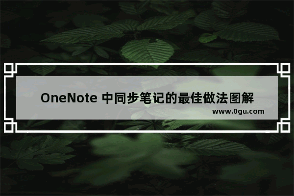 OneNote 中同步笔记的最佳做法图解教程