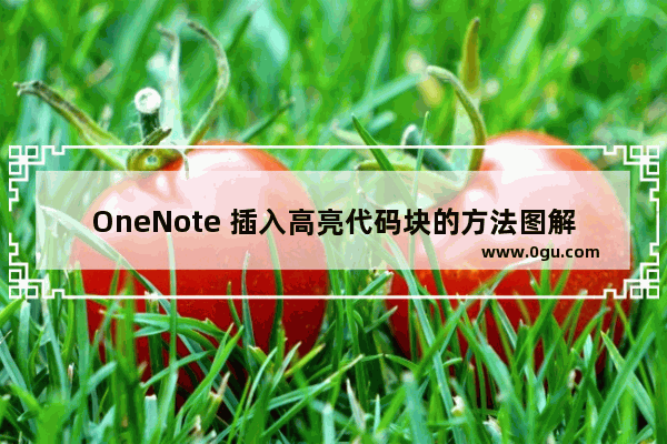 OneNote 插入高亮代码块的方法图解教程