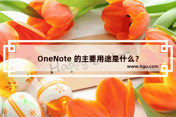 OneNote 的主要用途是什么？