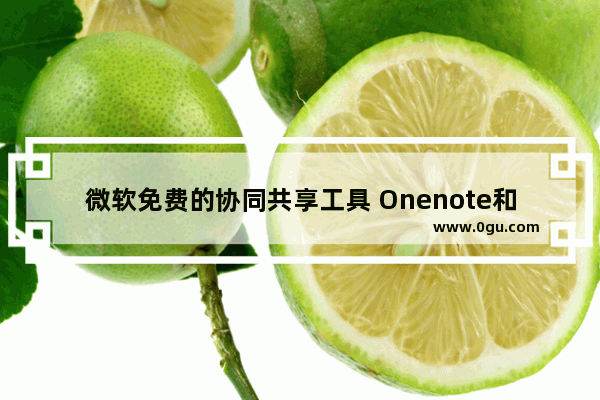 微软免费的协同共享工具 Onenote和SkyDrive的配合使用