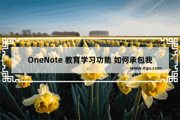 OneNote 教育学习功能 如何承包我们的家庭作业