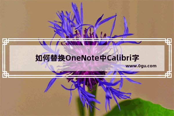 如何替换OneNote中Calibri字体