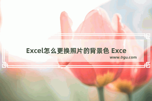 Excel怎么更换照片的背景色 Excel更换照片的背景色的方法