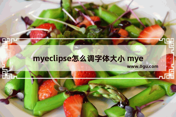 myeclipse怎么调字体大小 myeclipse修改字体大小的方法