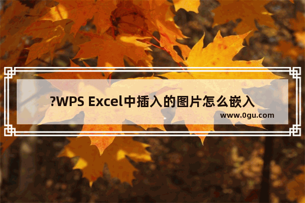 ?WPS Excel中插入的图片怎么嵌入单元格 WPS表格将图片嵌入单元格内的方法教程