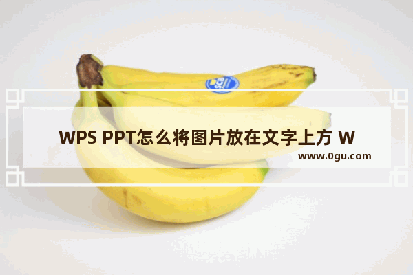 WPS PPT怎么将图片放在文字上方 WPS PPT把图片放在文字上方的方法