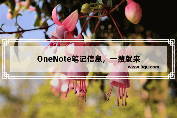 OneNote笔记信息，一搜就来