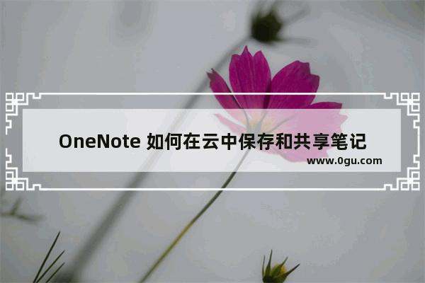 OneNote 如何在云中保存和共享笔记