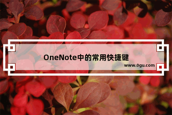 OneNote中的常用快捷键