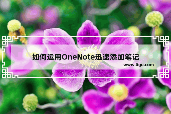 如何运用OneNote迅速添加笔记