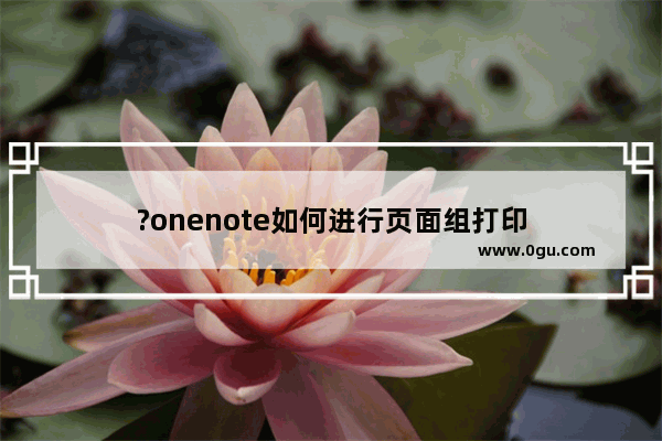 ?onenote如何进行页面组打印