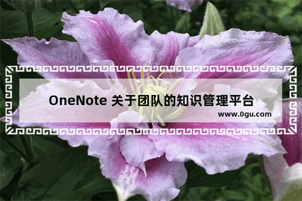 OneNote 关于团队的知识管理平台