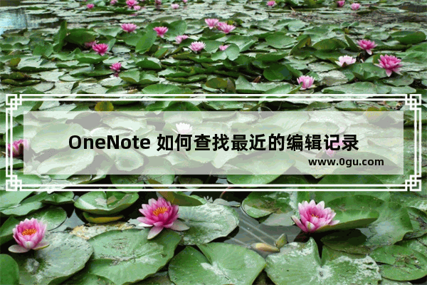 OneNote 如何查找最近的编辑记录