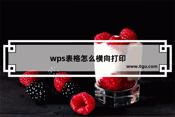 wps表格怎么横向打印